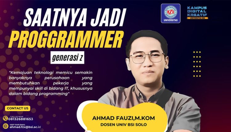 Programmer
