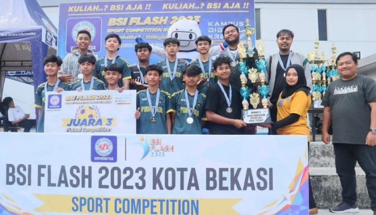 BSI FLASH 2023
