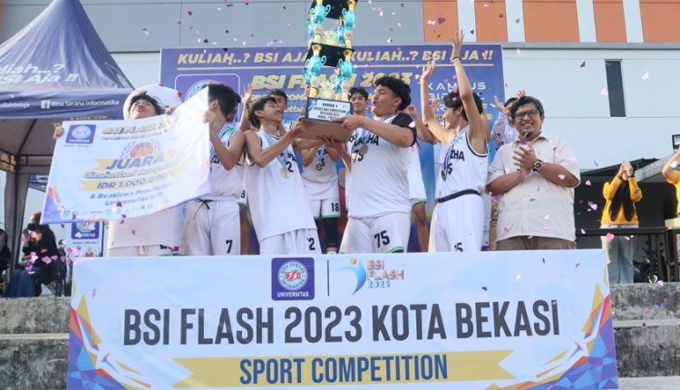 BSI FLASH 2023