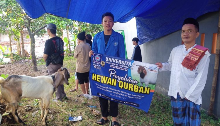 penyaluran hewan qurban idul adha