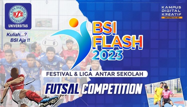 BSI FLASH 2023