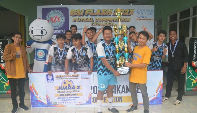 BSI FLASH 2023