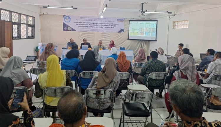 Universitas BSI Sosialisasi Hibah dan Penjajakan Kerja Sama dengan Universitas Linggabuana PGRI Sukabumi