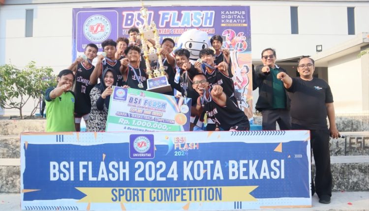 BSI FLASH 2024