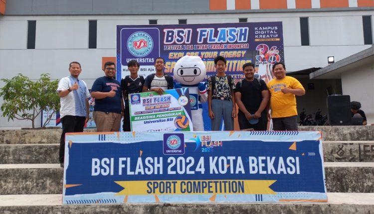 BSI FLASH 2024