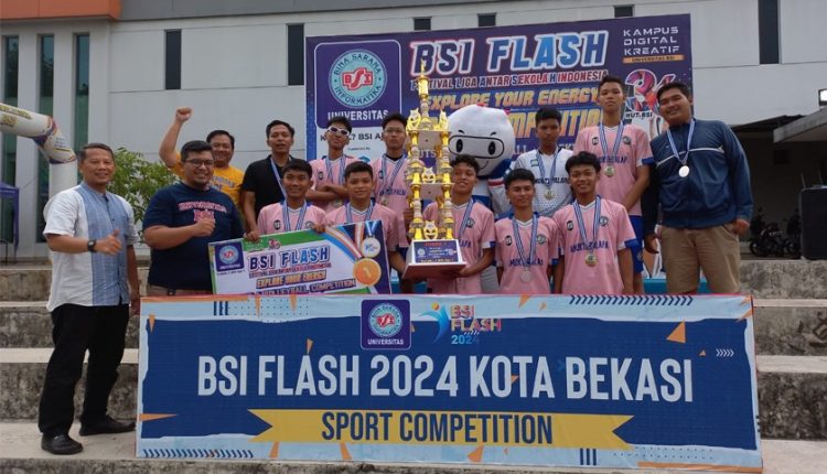 BSI FLASH 2024