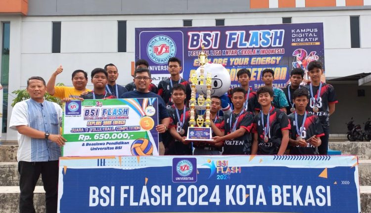 BSI FLASH 2024