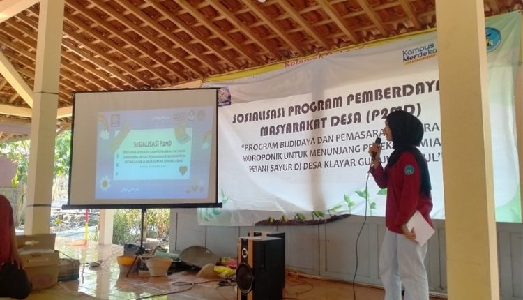 hibah pendanaan p2md