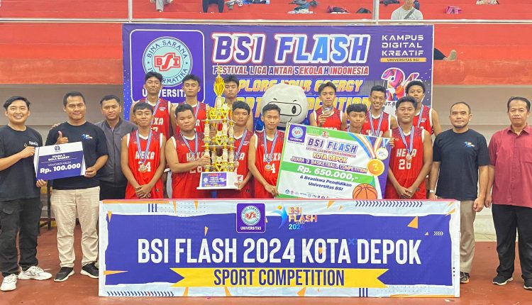 BSI FLASH 2024