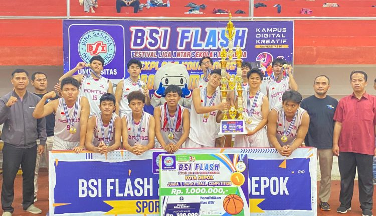 BSI FLASH 2024