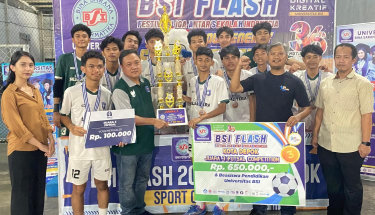 BSI FLASH 2024