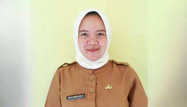Kiat Sukses Berkarier Jadi PNS di Disdukcapil, Alumni Universitas BSI kampus Tasikmalaya Beri Tips