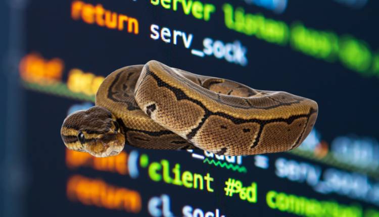 belajar python