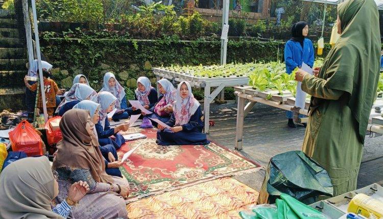 Pendampingan dan Pelatihan Kelompok Tani Hydromadam Katulampa