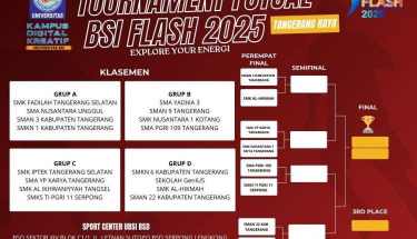 bsi flash