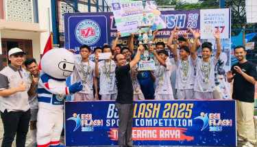 bsi flash