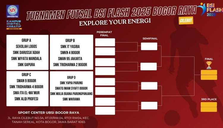 bsi flash