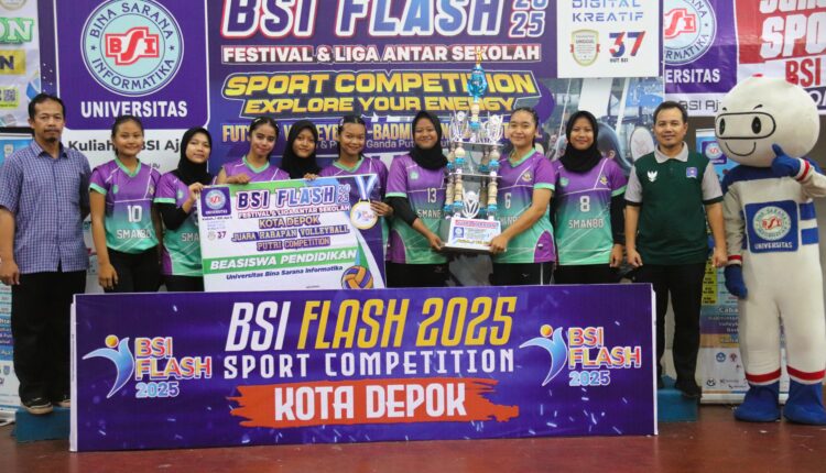 bsi flash