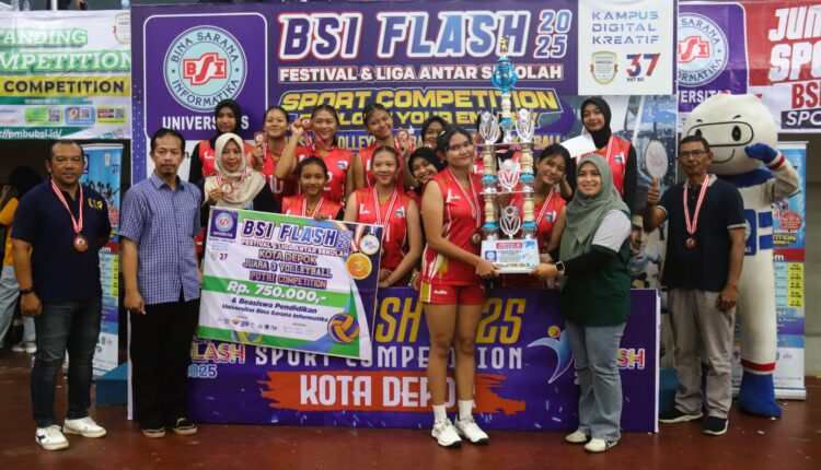 bsi flash