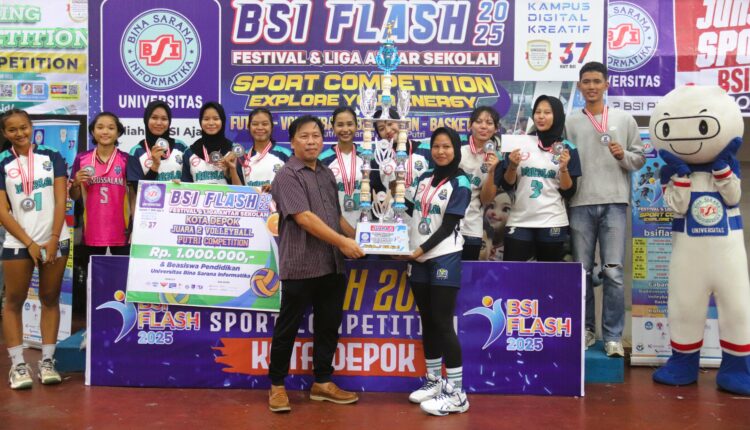 bsi flash