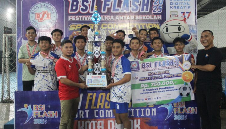 bsi flash