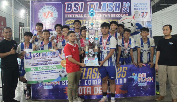 bsi flash