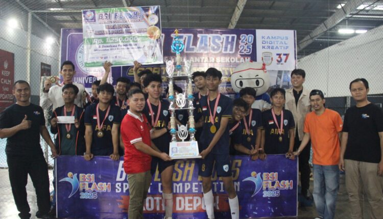 bsi flash