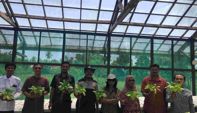 kolaborasi riset