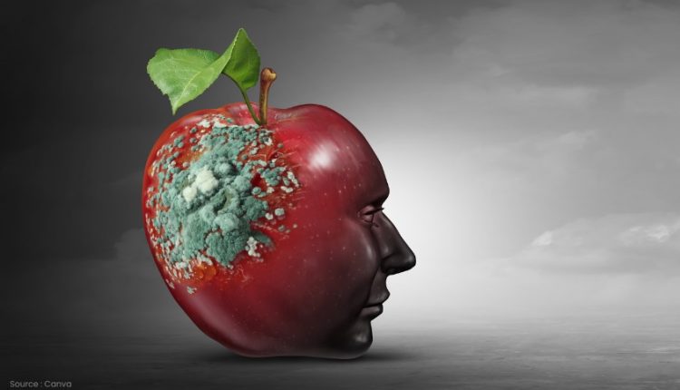 Anomali Brainrot: Ancaman Baru di Era Digital untuk Anak dan Remaja