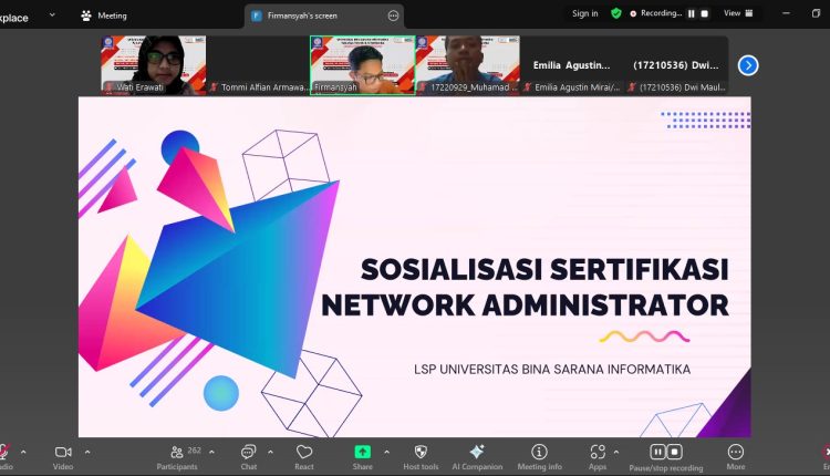 network administrator