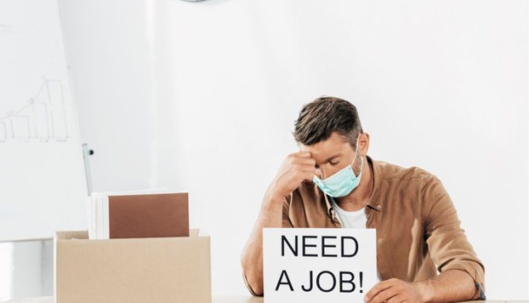 Fresh Graduate Tanpa Portofolio? Siap-Siap Tersisih dalam Persaingan Kerja