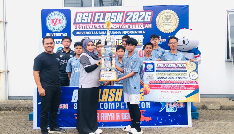 bsi flash