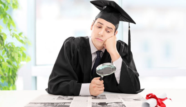 Fresh Graduate