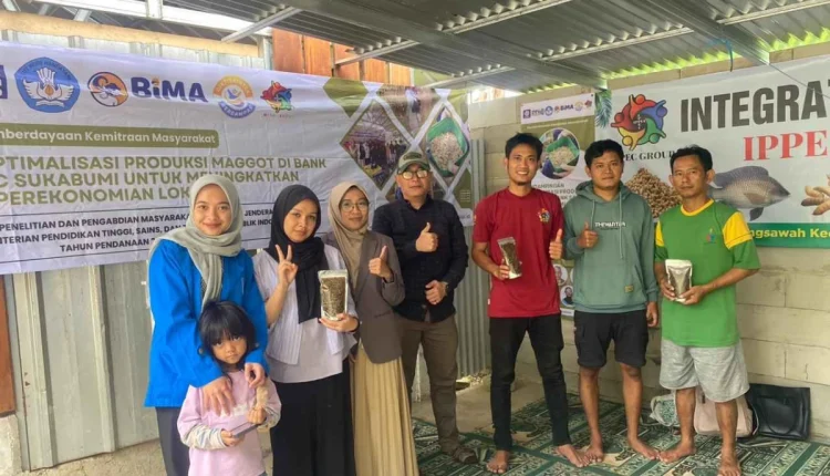 PKM, UBSI, Hibah PKM