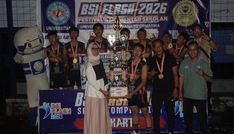 bsi flash