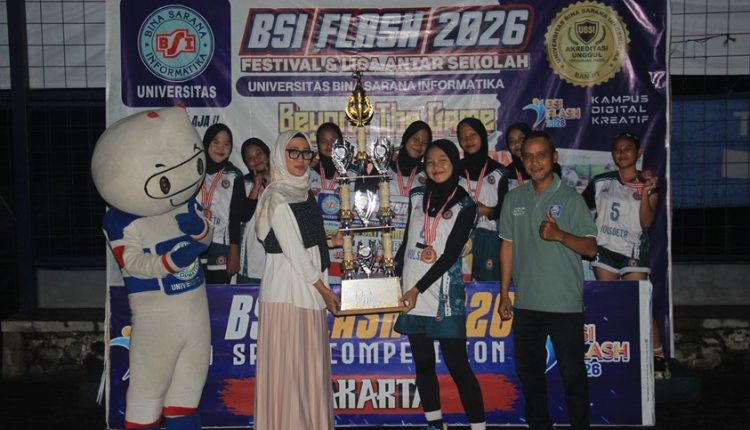 bsi flash