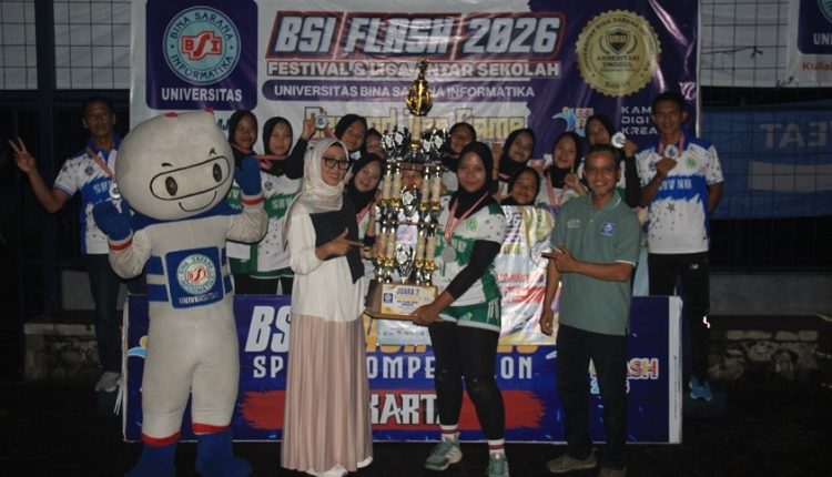 bsi flash