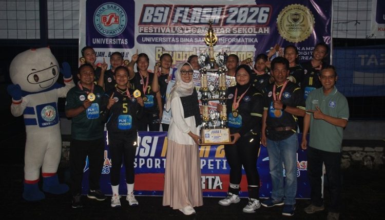 bsi flash