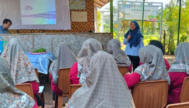 Digitalisasi Pemasaran Produk Pertanian, UBSI Dorong KWT Seruni Cibinong Tembus Pasar Digital