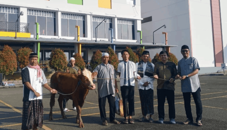 Qurban