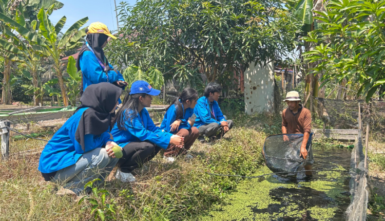Desa Radak Baru