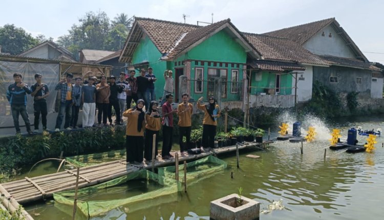 hibah pkm bima