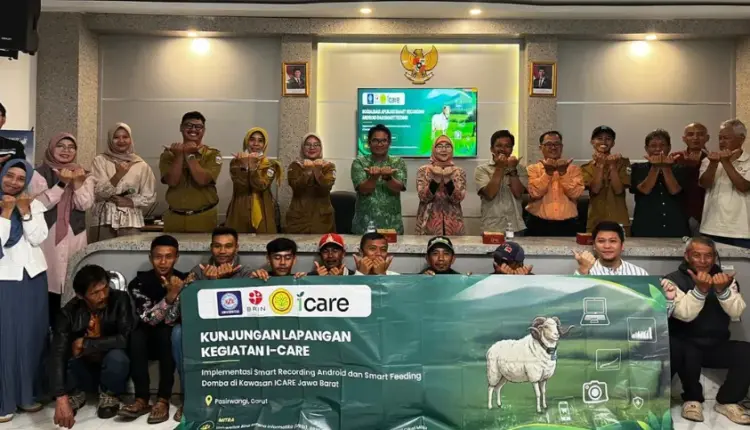 UBSI dan BRIN Dorong Peternakan Domba Berbasis Teknologi di Garut